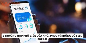 2 trường hợp phổ biến của khôi phục ví không có seed phrase