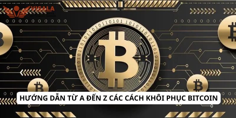 Hướng dẫn từ A đến Z các cách khôi phục bitcoin